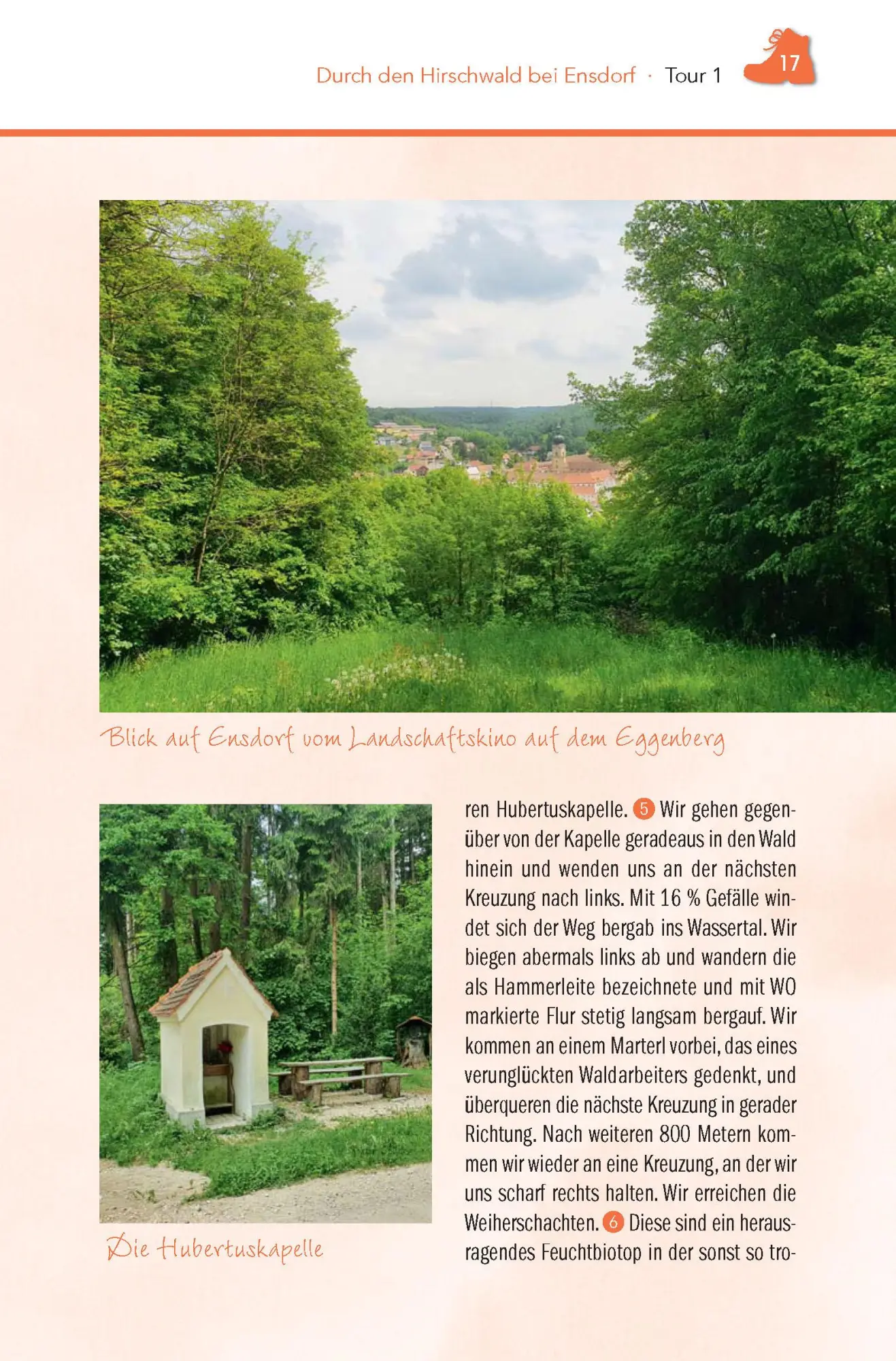 Bild: 9783955870843 | Wanderführer Hirschwald | Hubert Zaremba | Taschenbuch | 128 S. | 2022