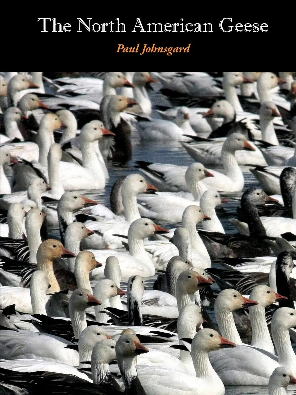 Cover: 9781609620943 | The North American Geese | Their Biology and Behavior | Paul Johnsgard