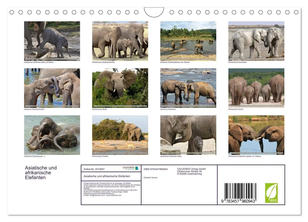 Bild: 9783457960943 | Asiatische und afrikanische Elefanten (Wandkalender 2026 DIN A4...