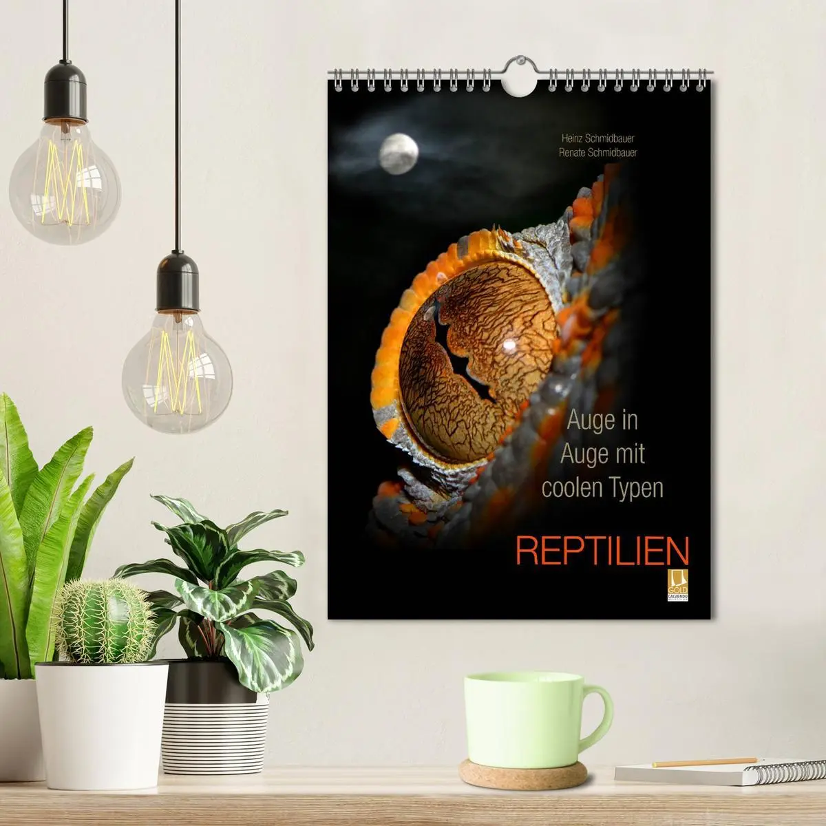 Bild: 9783516430943 | Auge in Auge mit coolen Typen - REPTILIEN (Wandkalender 2026 DIN A4...