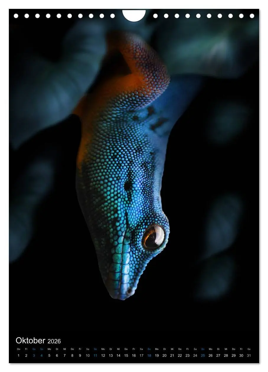 Bild: 9783516430943 | Auge in Auge mit coolen Typen - REPTILIEN (Wandkalender 2026 DIN A4...