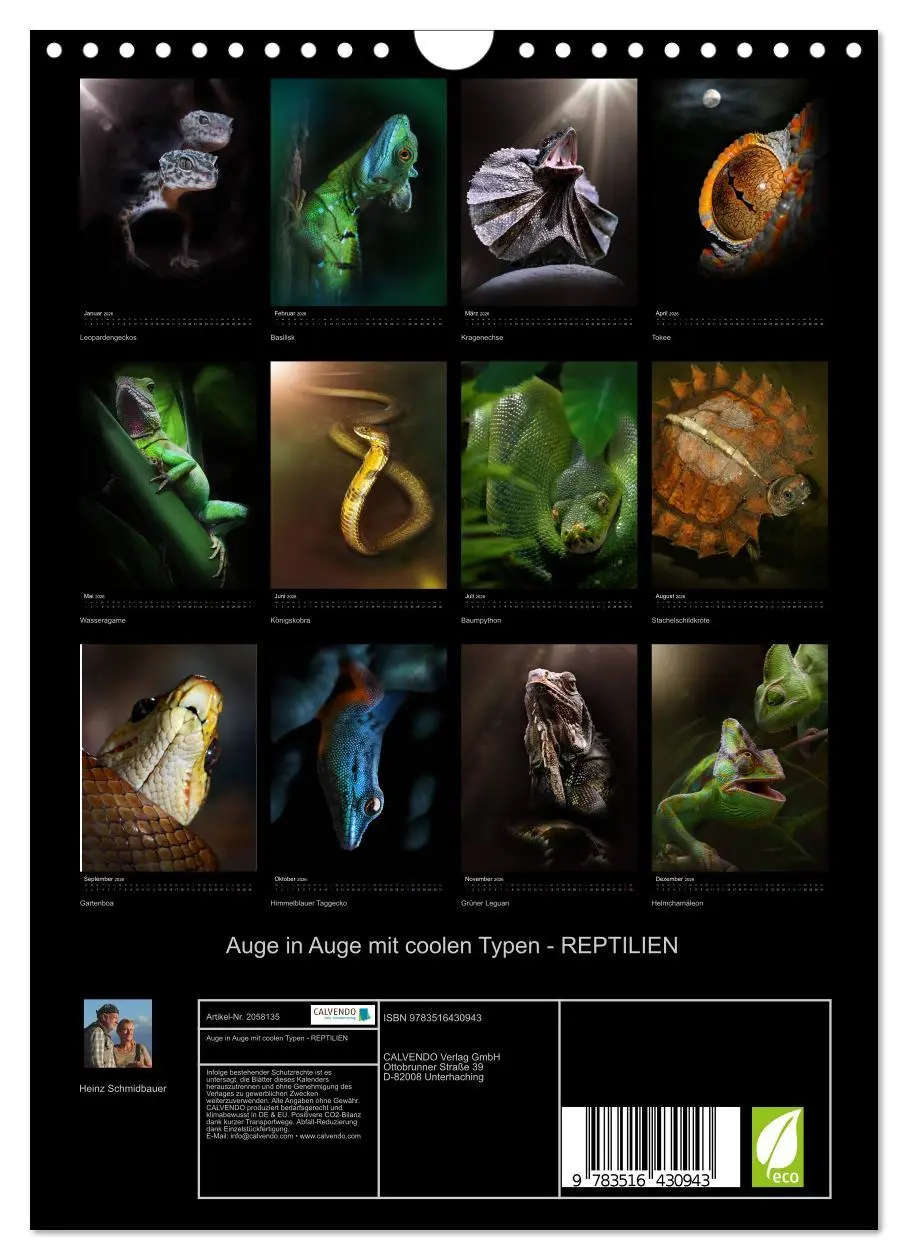 Bild: 9783516430943 | Auge in Auge mit coolen Typen - REPTILIEN (Wandkalender 2026 DIN A4...