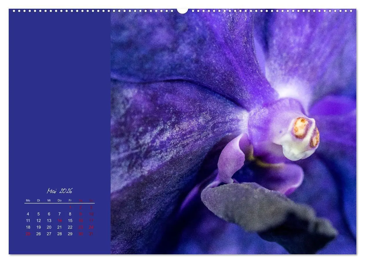 Bild: 9783516670943 | Blütenstil (Wandkalender 2026 DIN A2 quer), CALVENDO Monatskalender