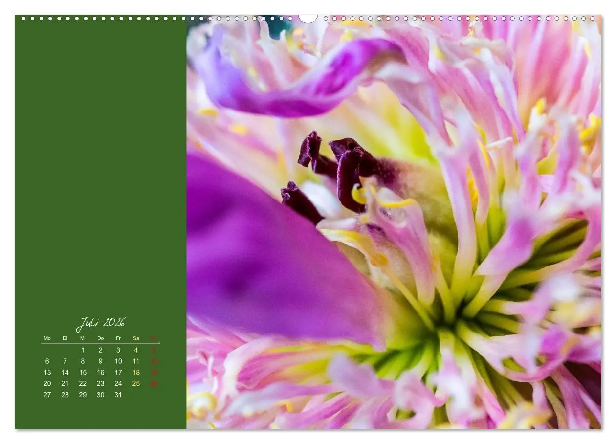 Bild: 9783516670943 | Blütenstil (Wandkalender 2026 DIN A2 quer), CALVENDO Monatskalender