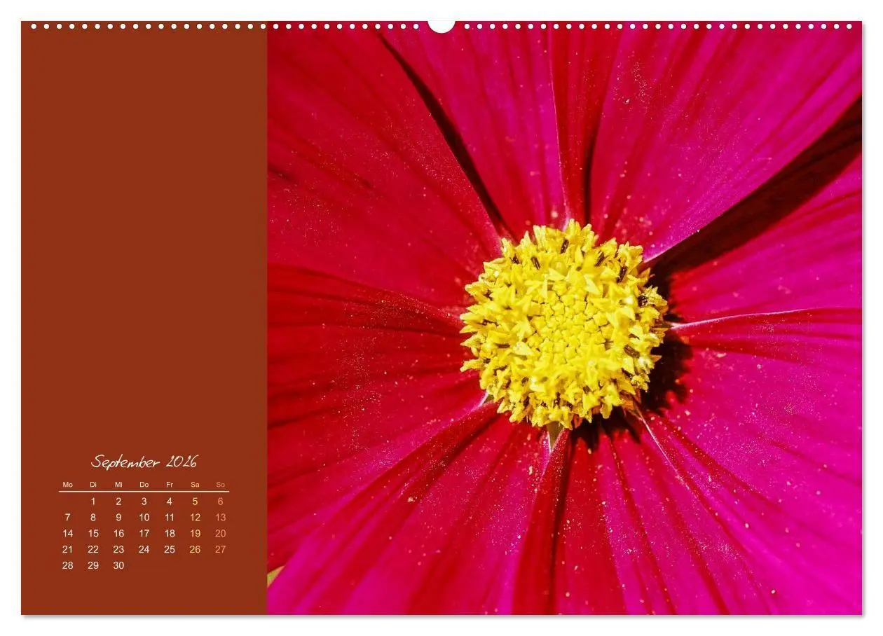 Bild: 9783516670943 | Blütenstil (Wandkalender 2026 DIN A2 quer), CALVENDO Monatskalender