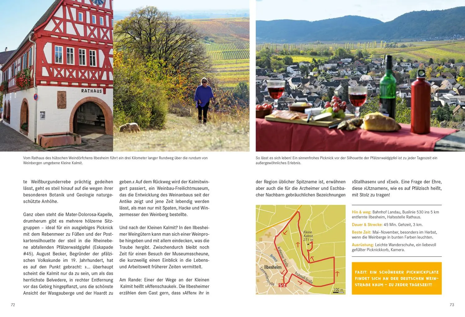 Bild: 9783770180943 | 52 kleine &amp; große Eskapaden in der Pfalz | Ab nach draußen! | Diehl
