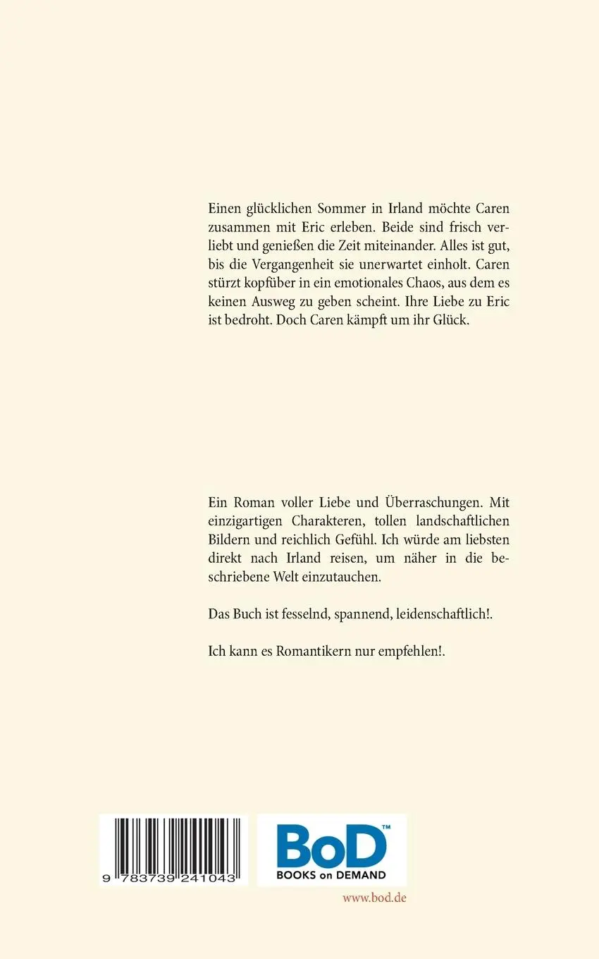 Rückseite: 9783739241043 | Sommer in Irland | Roman | Gisa Stoermer | Taschenbuch | 308 S. | 2019