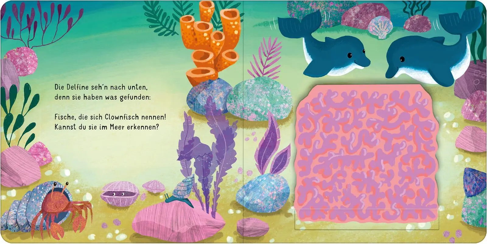 Bild: 9783845861043 | Klapp auf! Wo verstecken sich die Meerestiere? | Nicola Anker | Buch