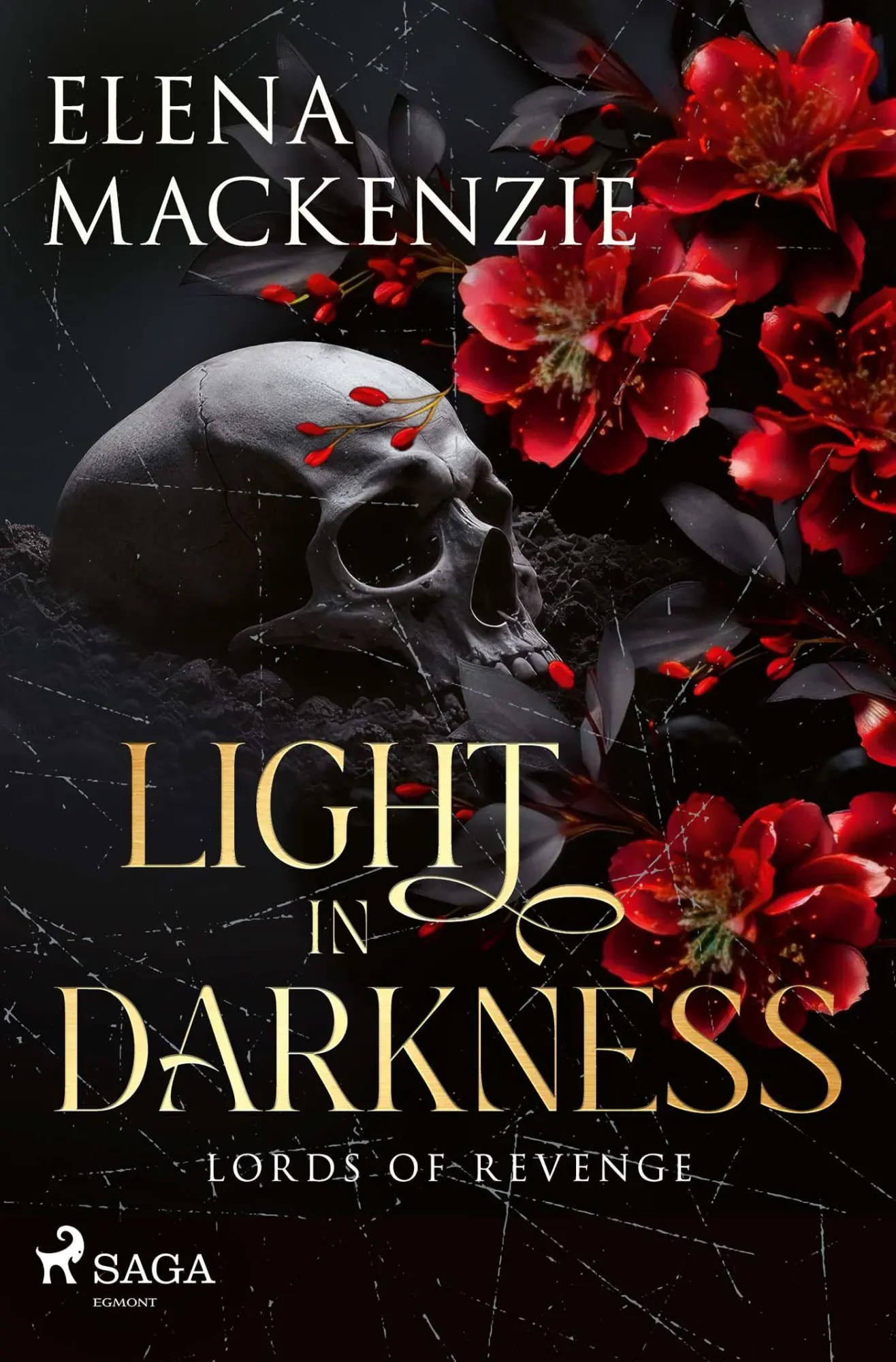 Cover: 9783987501043 | Light in Darkness | Elena Mackenzie | Taschenbuch | 416 S. | Deutsch