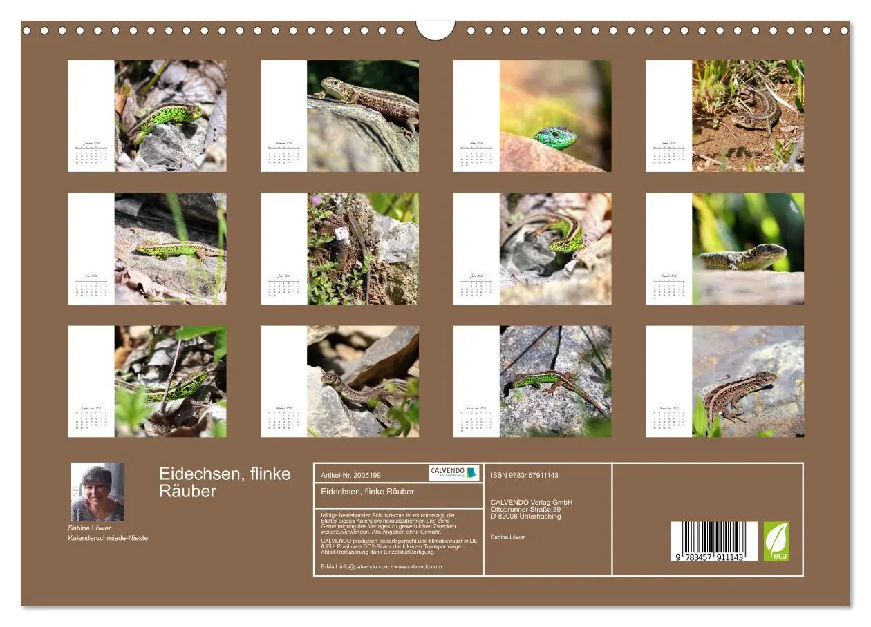 Bild: 9783457911143 | Eidechsen, flinke Räuber (Wandkalender 2026 DIN A3 quer), CALVENDO...