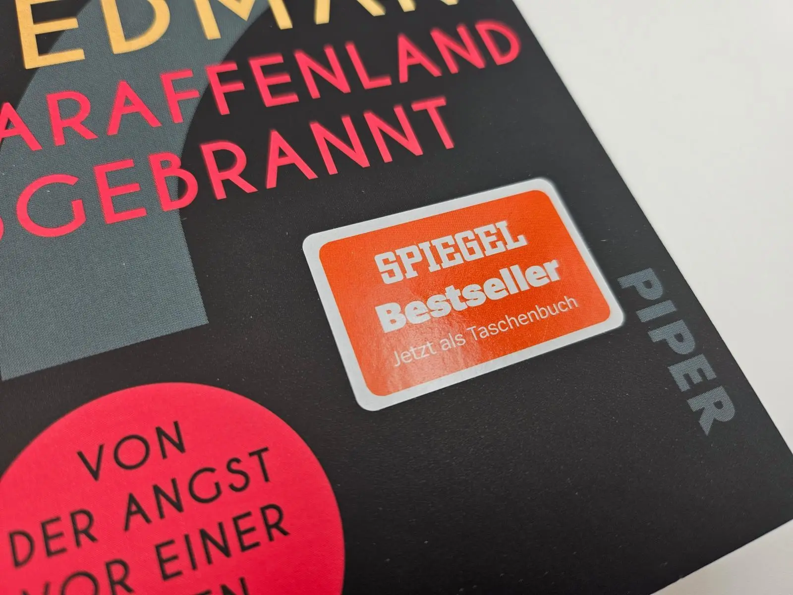 Bild: 9783492321143 | Schlaraffenland abgebrannt | Michel Friedman | Taschenbuch | 272 S.