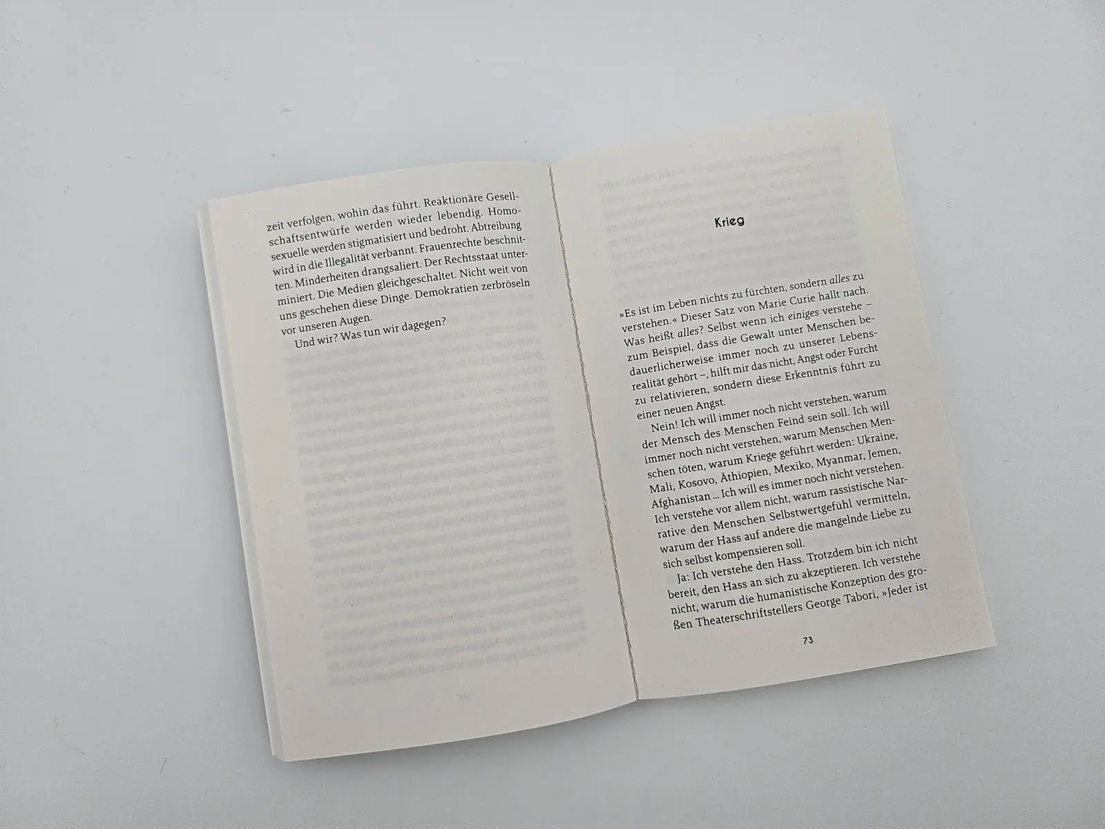 Bild: 9783492321143 | Schlaraffenland abgebrannt | Michel Friedman | Taschenbuch | 272 S.