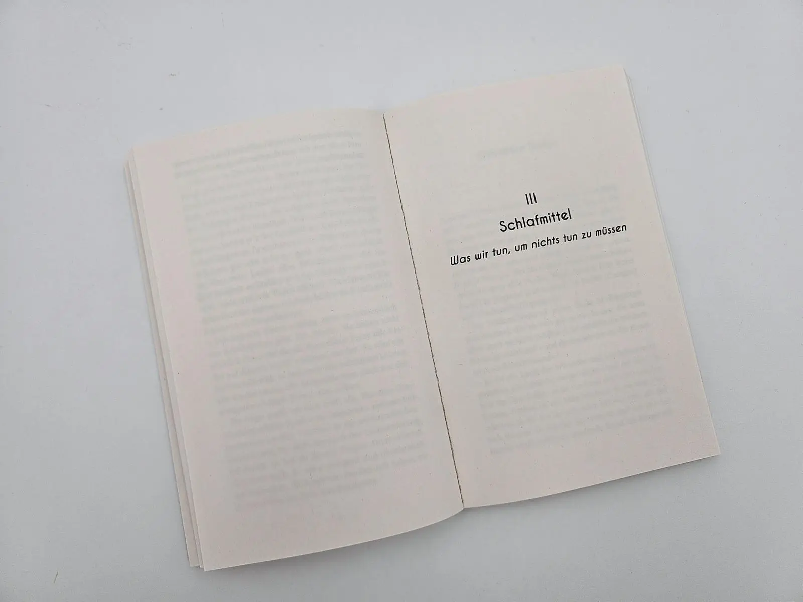 Bild: 9783492321143 | Schlaraffenland abgebrannt | Michel Friedman | Taschenbuch | 272 S.