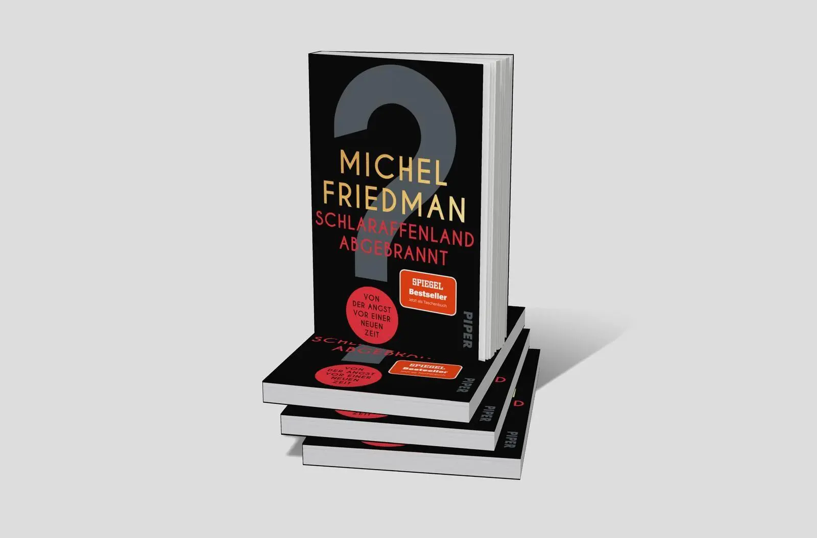 Bild: 9783492321143 | Schlaraffenland abgebrannt | Michel Friedman | Taschenbuch | 272 S.