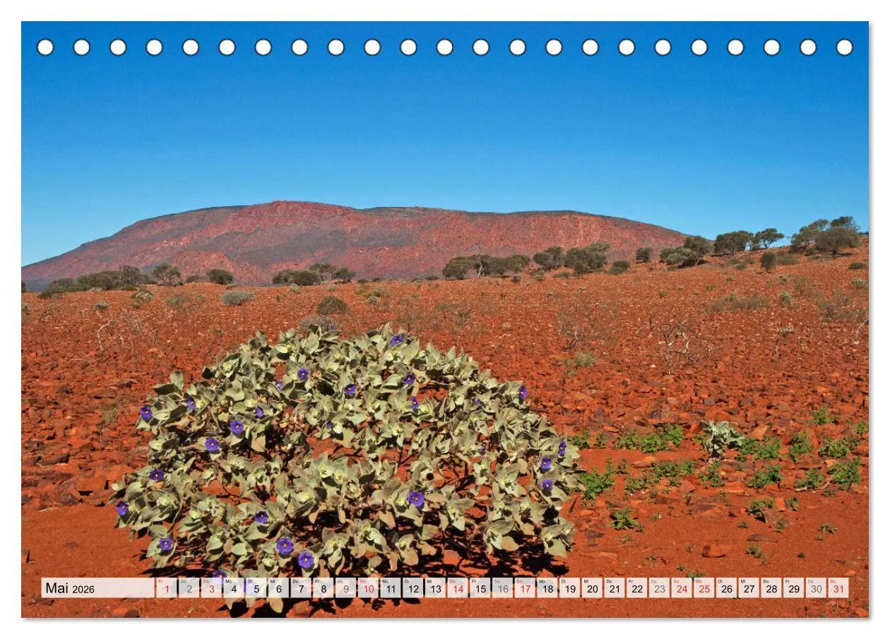 Bild: 9783516161243 | Australien - Faszination Outback (Tischkalender 2026 DIN A5 quer),...