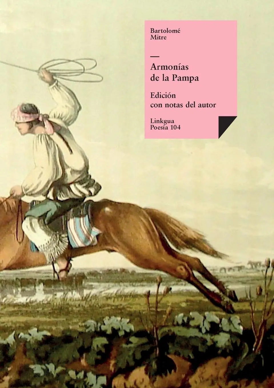 Cover: 9788490071243 | Armonías de la Pampa | Bartolomé Mitre | Taschenbuch | Spanisch | 2024