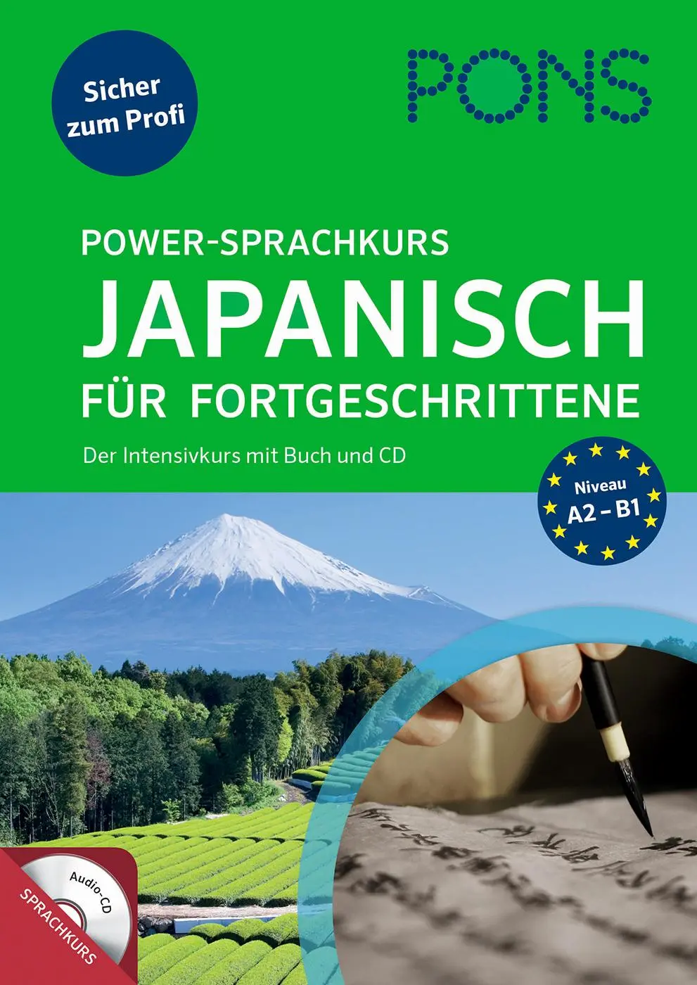 Cover: 9783125621343 | PONS Power-Sprachkurs Japanisch für Fortgeschrittene | Takayo Ishizawa