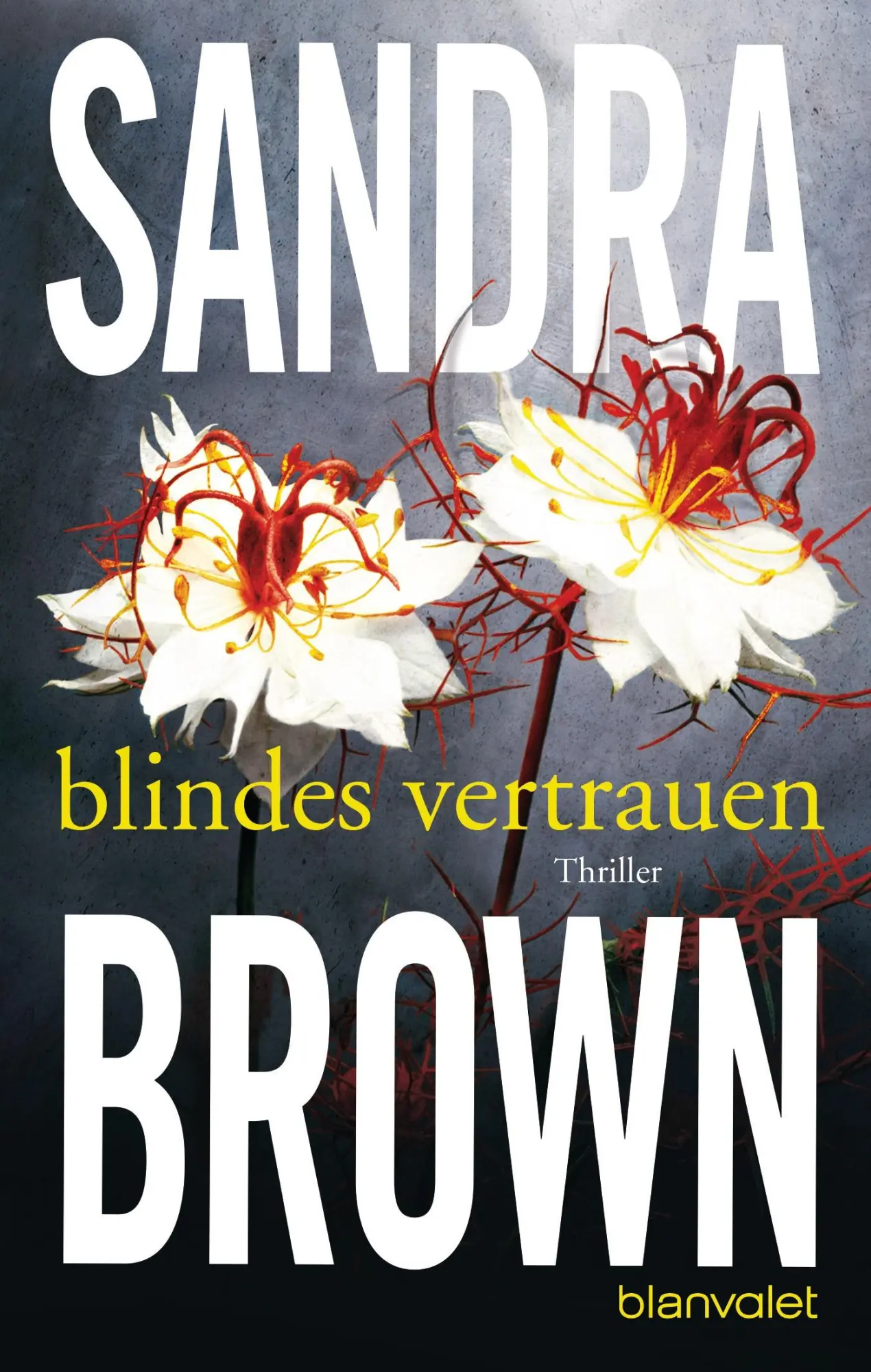 Cover: 9783442351343 | Blindes Vertrauen | Sandra Brown | Taschenbuch | 544 S. | Deutsch