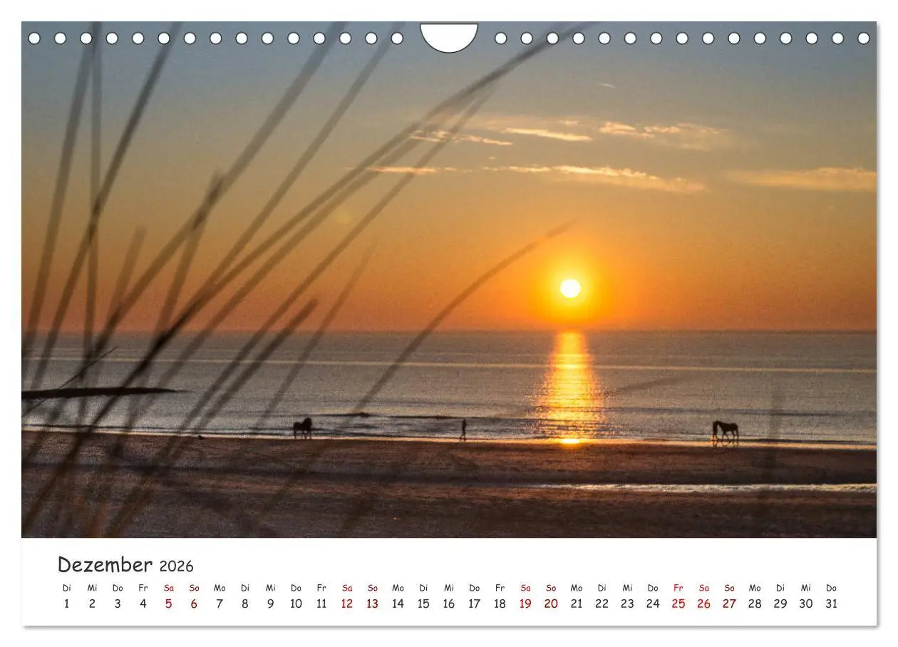 Bild: 9783457751343 | Dünen und Meer Nordseemomente (Wandkalender 2026 DIN A4 quer),...