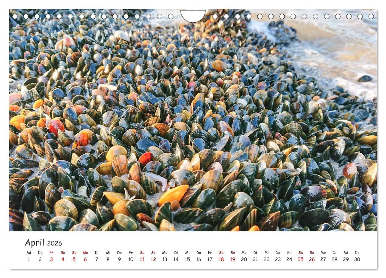 Bild: 9783457751343 | Dünen und Meer Nordseemomente (Wandkalender 2026 DIN A4 quer),...