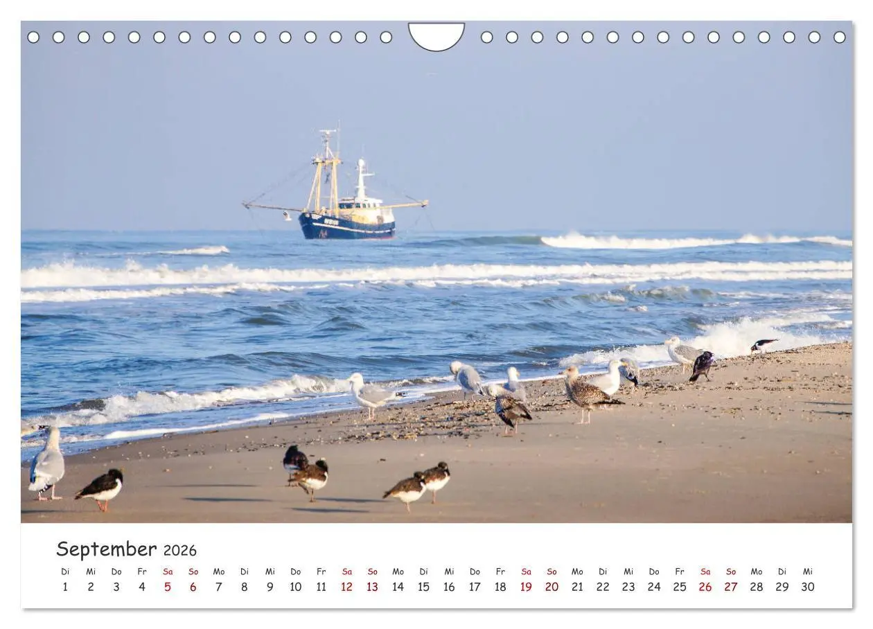 Bild: 9783457751343 | Dünen und Meer Nordseemomente (Wandkalender 2026 DIN A4 quer),...