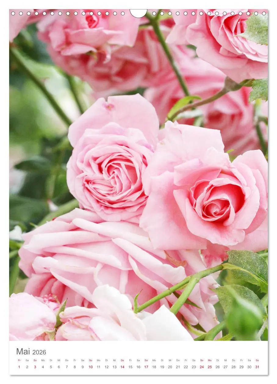 Bild: 9783516391343 | Glücklich mit Rosen (Wandkalender 2026 DIN A3 hoch), CALVENDO...