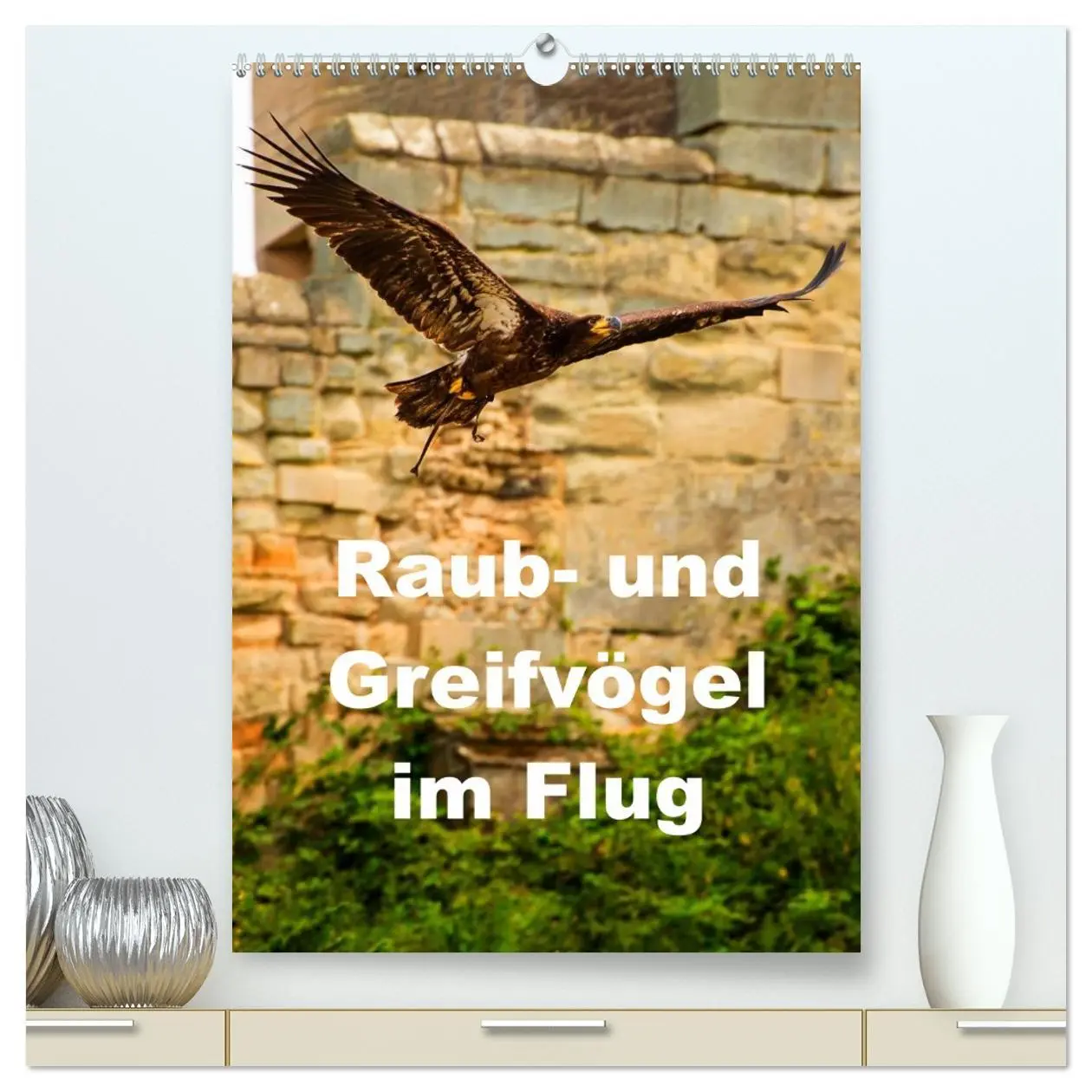 Cover: 9783516461343 | Raub- und Greifvögel im Flug (hochwertiger Premium Wandkalender...