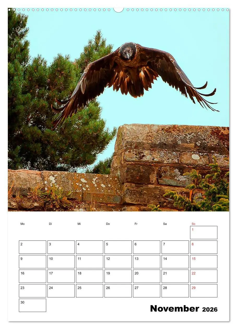 Bild: 9783516461343 | Raub- und Greifvögel im Flug (hochwertiger Premium Wandkalender...