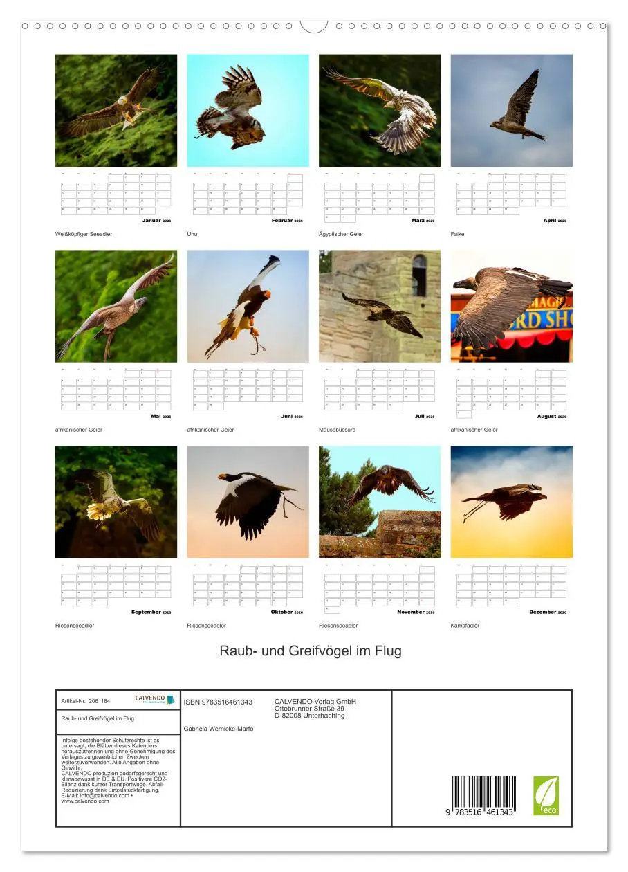 Bild: 9783516461343 | Raub- und Greifvögel im Flug (hochwertiger Premium Wandkalender...