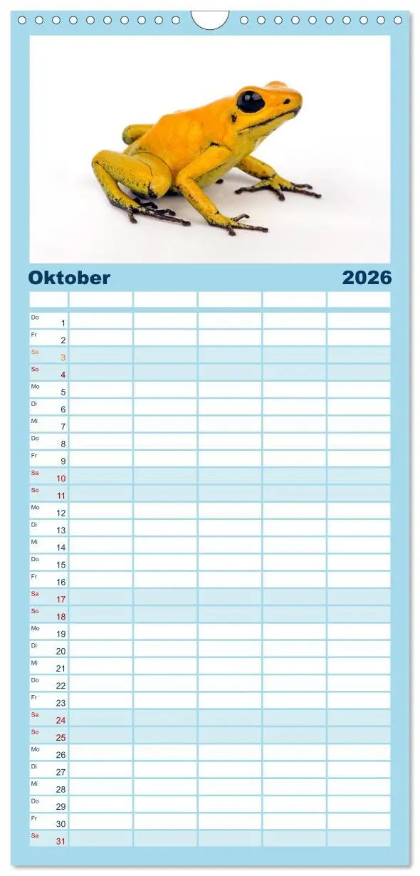 Bild: 9783516521443 | Familienplaner 2026 - Farbenpracht der Frösche mit 5 Spalten...