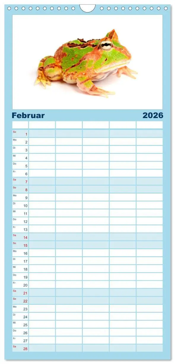 Bild: 9783516521443 | Familienplaner 2026 - Farbenpracht der Frösche mit 5 Spalten...