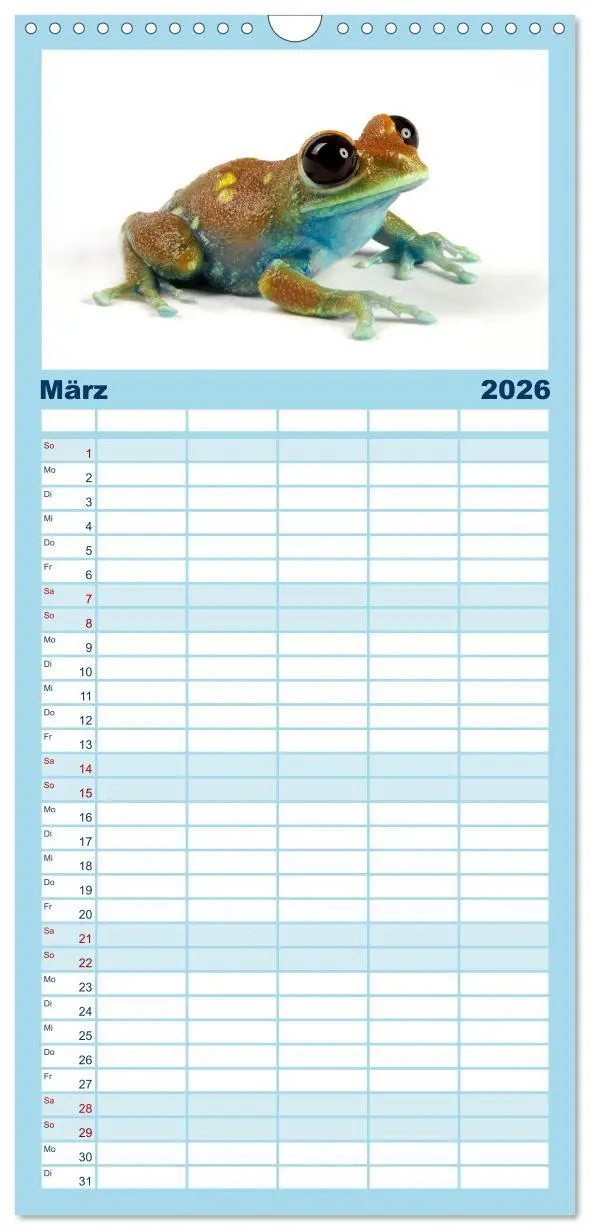 Bild: 9783516521443 | Familienplaner 2026 - Farbenpracht der Frösche mit 5 Spalten...