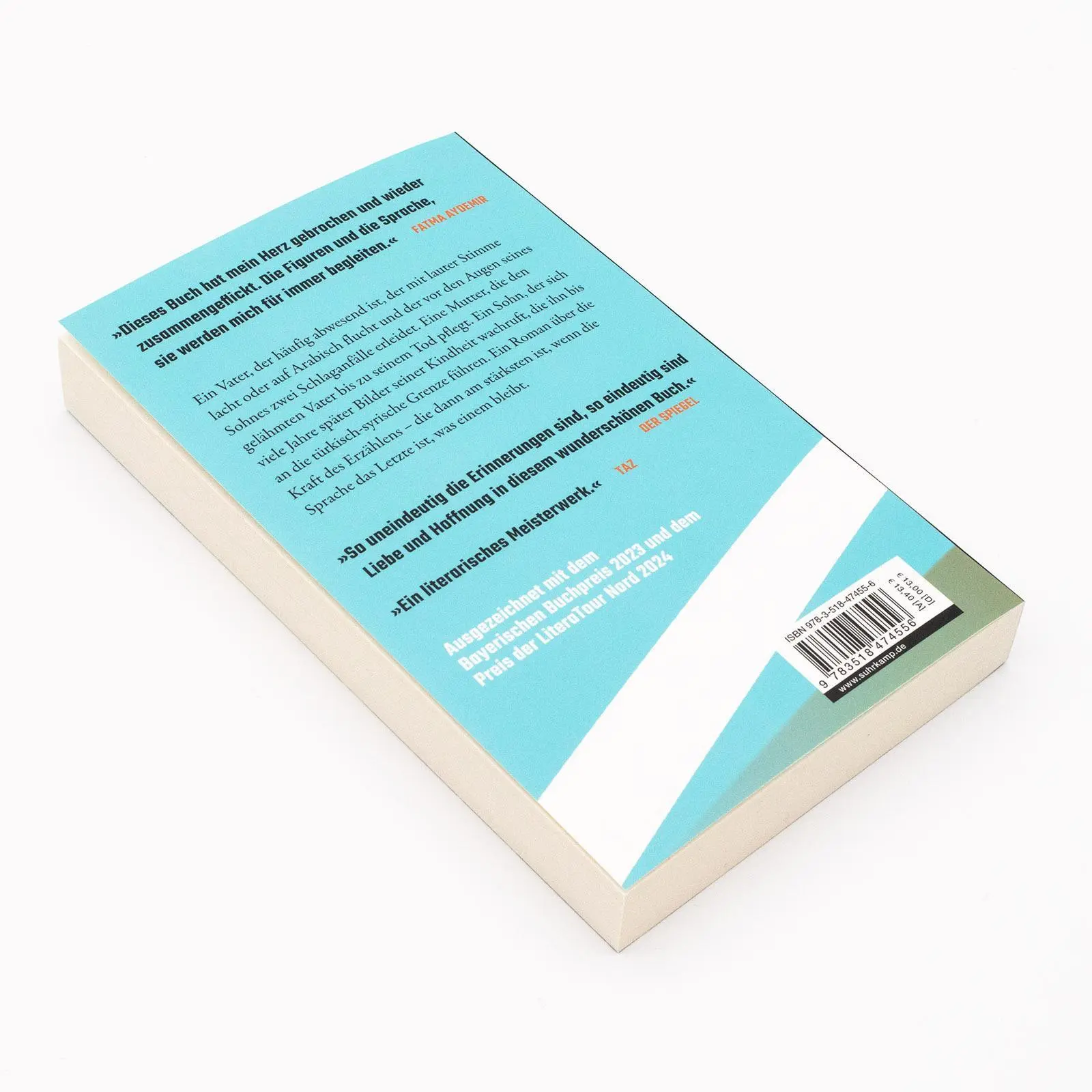 Bild: 9783518431443 | Vaters Meer | Roman Ausgezeichnet mit dem Bayerischen Buchpreis | Utlu