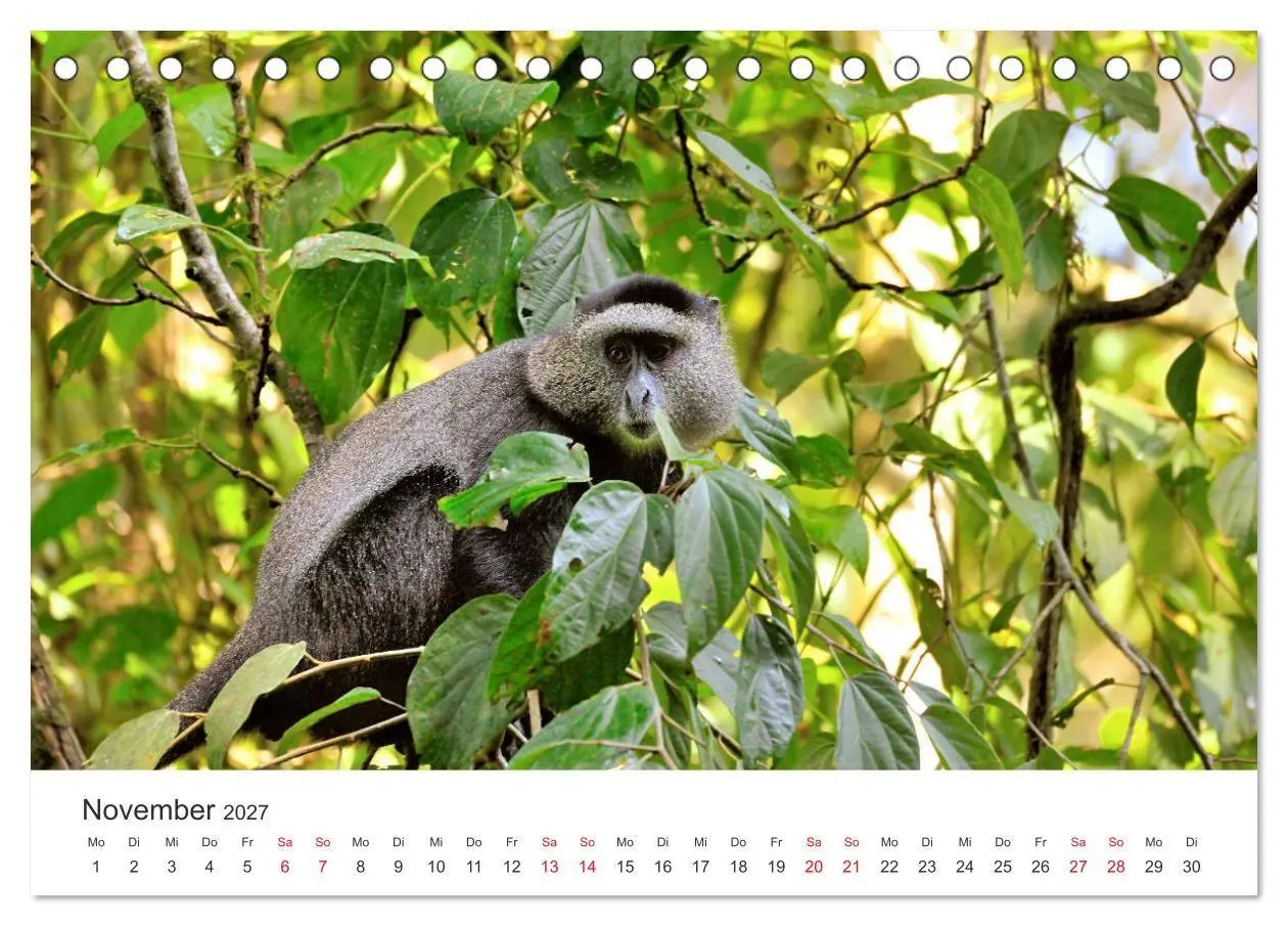 Bild: 9783569851443 | Kenia - Ein Land wie Afrika (Tischkalender 2027 DIN A5 quer),...