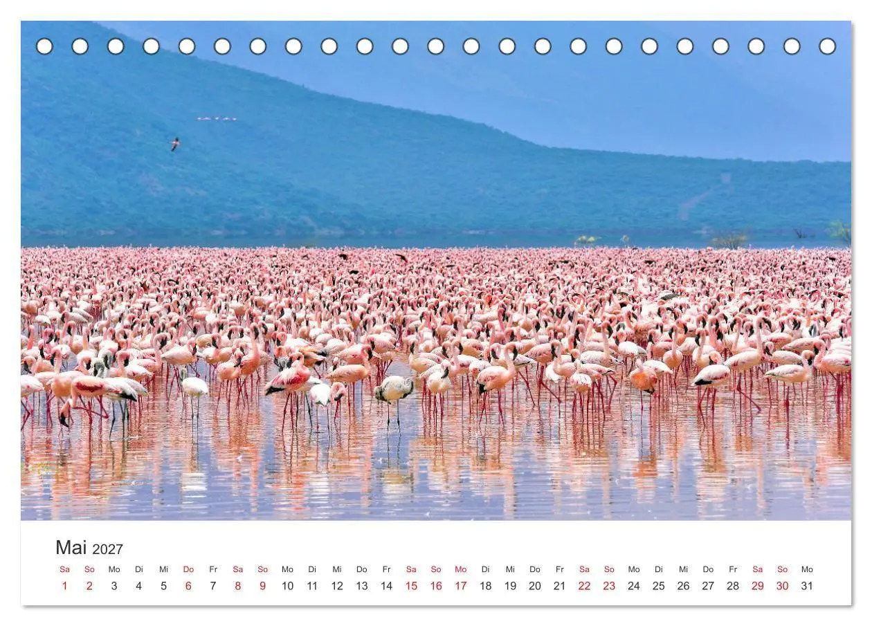 Bild: 9783569851443 | Kenia - Ein Land wie Afrika (Tischkalender 2027 DIN A5 quer),...