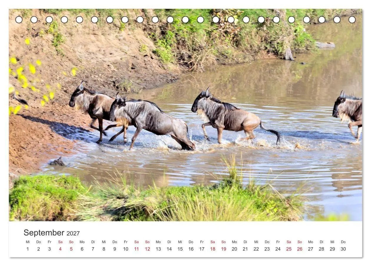 Bild: 9783569851443 | Kenia - Ein Land wie Afrika (Tischkalender 2027 DIN A5 quer),...