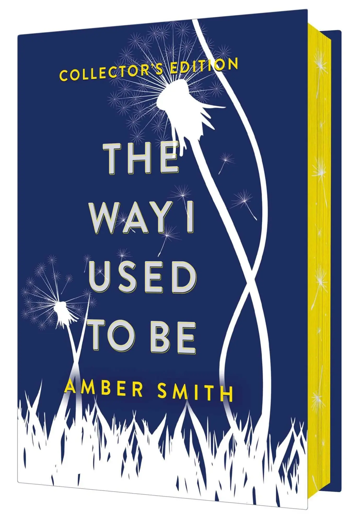 Cover: 9798347101443 | The Way I Used to Be (Collector's Edition) | Amber Smith | Buch | 2025