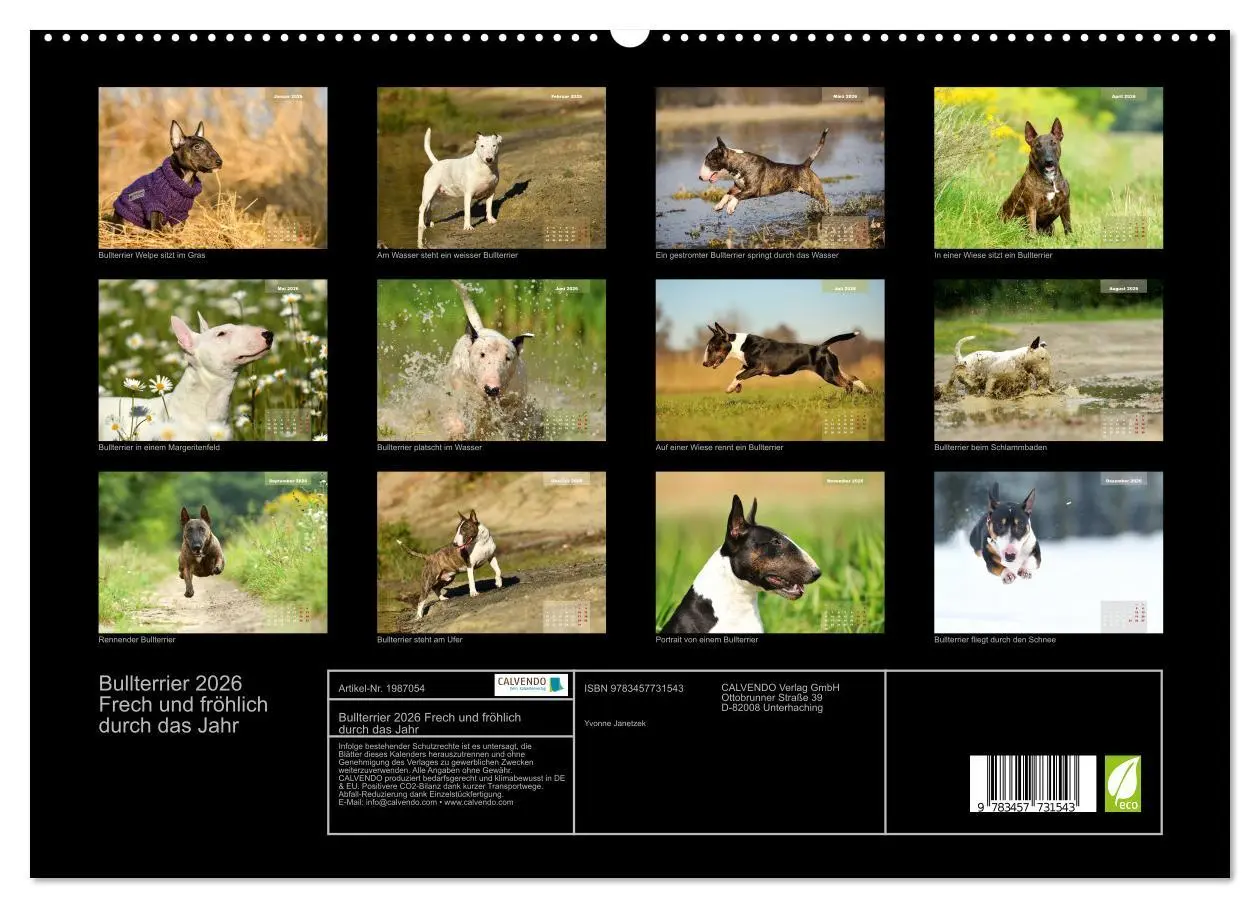 Bild: 9783457731543 | Bullterrier 2026 Frech und fröhlich durch das Jahr (hochwertiger...