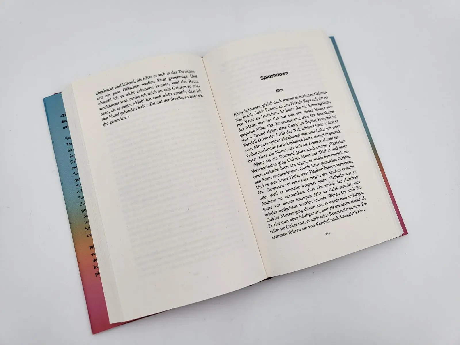 Bild: 9783492071543 | Falls ich dich überlebe | Roman Shortlist Booker Prize 2023 | Buch