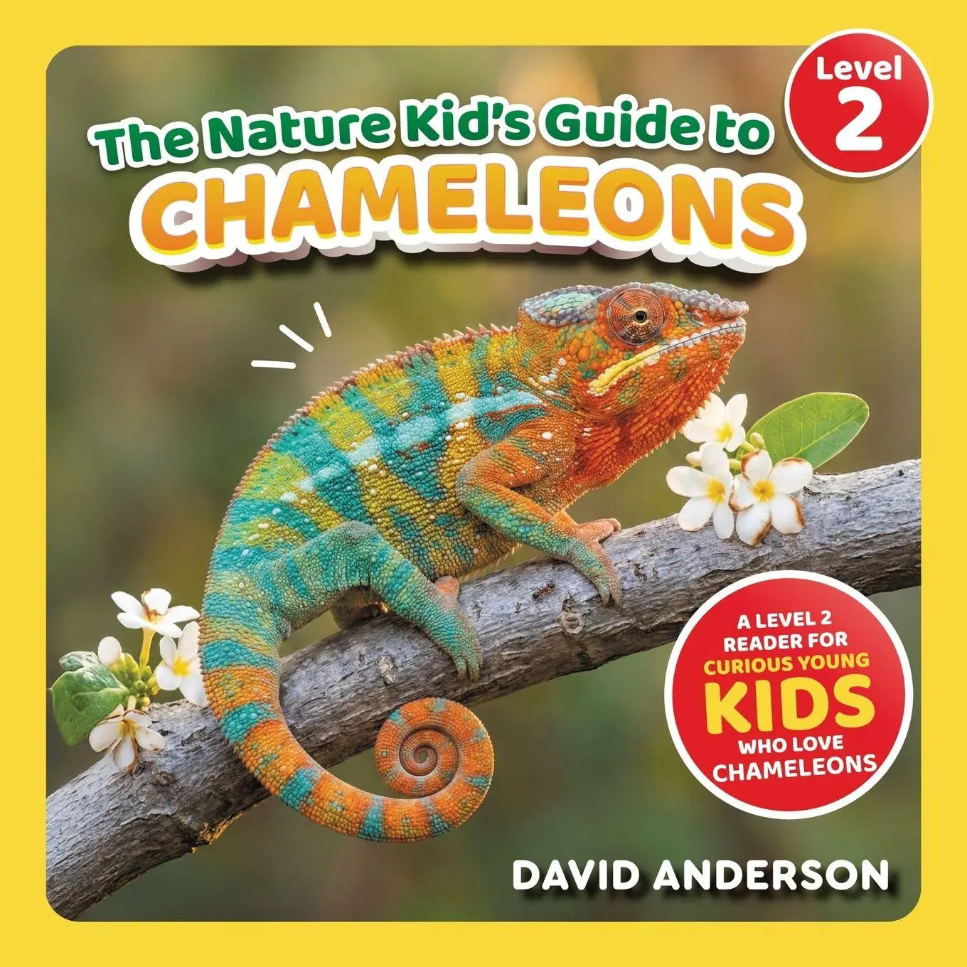 Cover: 9798898181543 | The Nature Kid's Guide to Chameleons | David Anderson | Taschenbuch