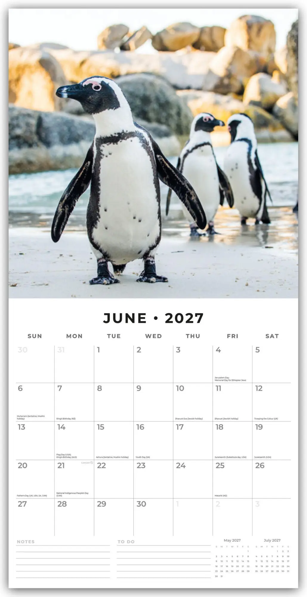 Bild: 9781837011643 | Penguins - Pinguine 2027 - 16-Monatskalender | Robin Red | Kalender