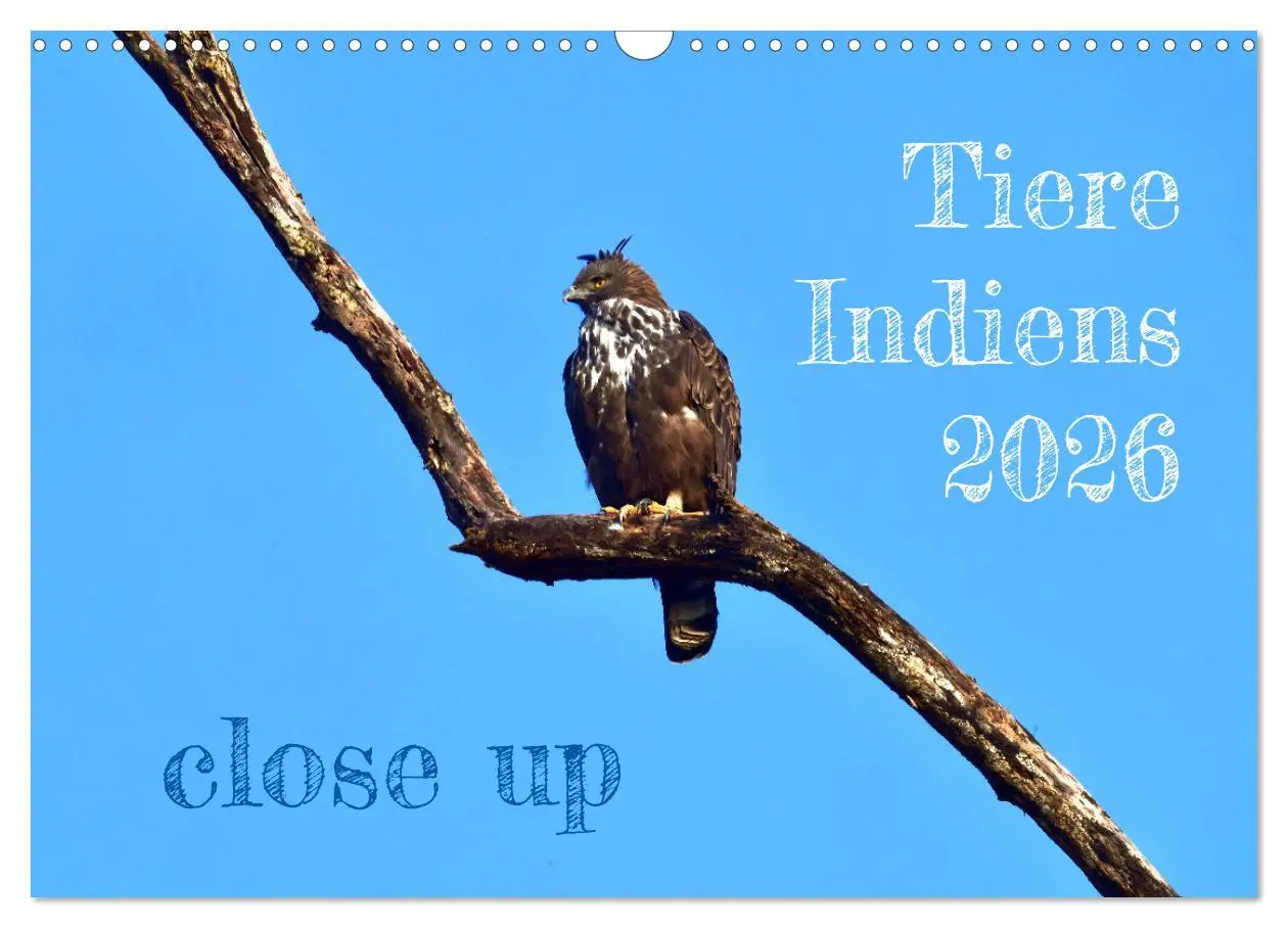 Cover: 9783457411643 | Tiere Indiens close up (Wandkalender 2026 DIN A3 quer), CALVENDO...