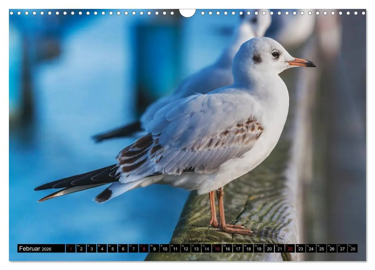 Bild: 9783457961643 | Ein Wochenende im Ostseebad Binz (Wandkalender 2026 DIN A3 quer),...