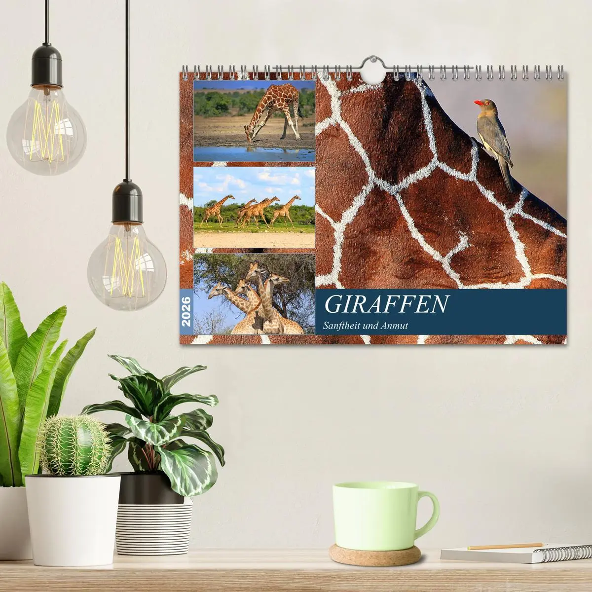 Bild: 9783516051643 | Giraffen - Sanftheit und Anmut (Wandkalender 2026 DIN A4 quer),...