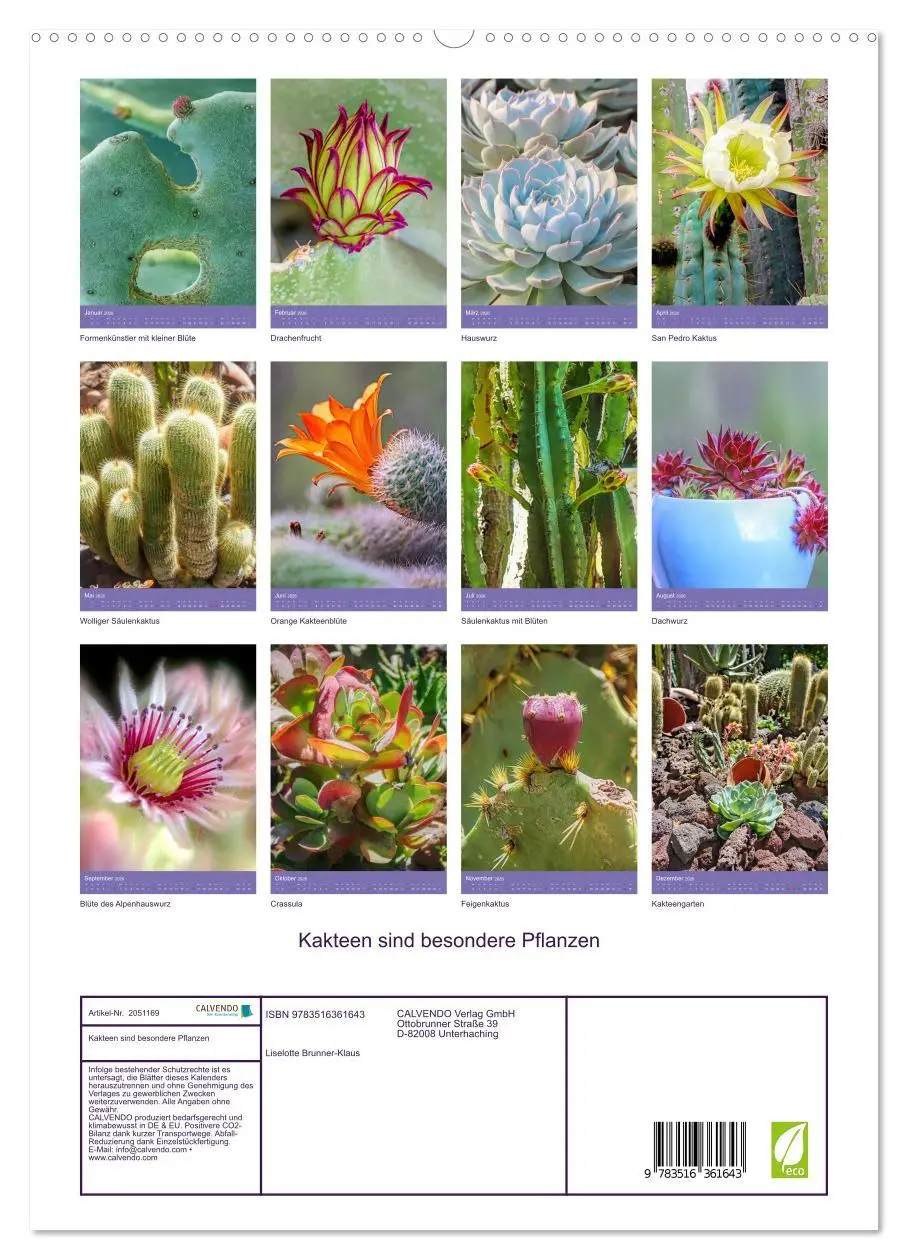Bild: 9783516361643 | Kakteen sind besondere Pflanzen (Wandkalender 2026 DIN A2 hoch),...