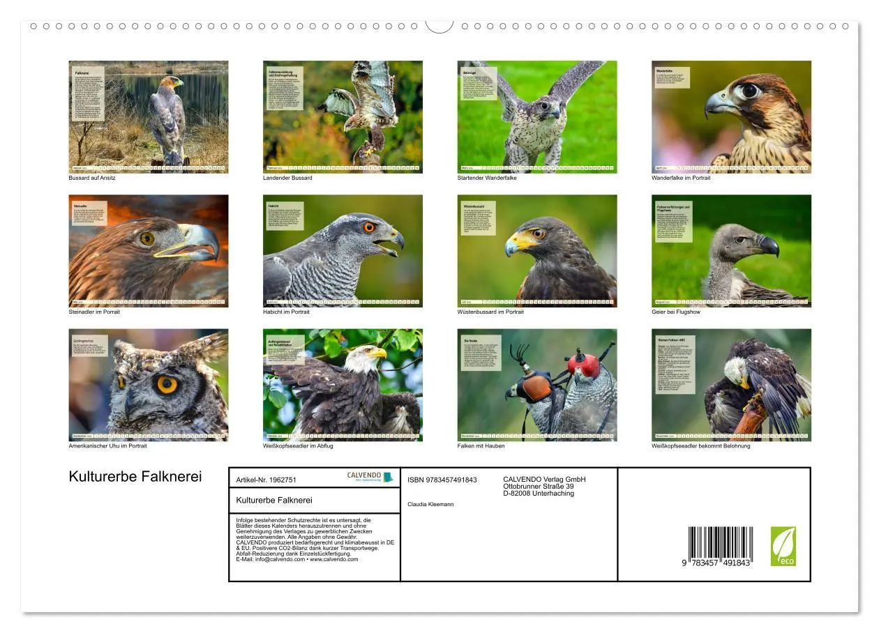 Bild: 9783457491843 | Kulturerbe Falknerei (hochwertiger Premium Wandkalender 2026 DIN A2...