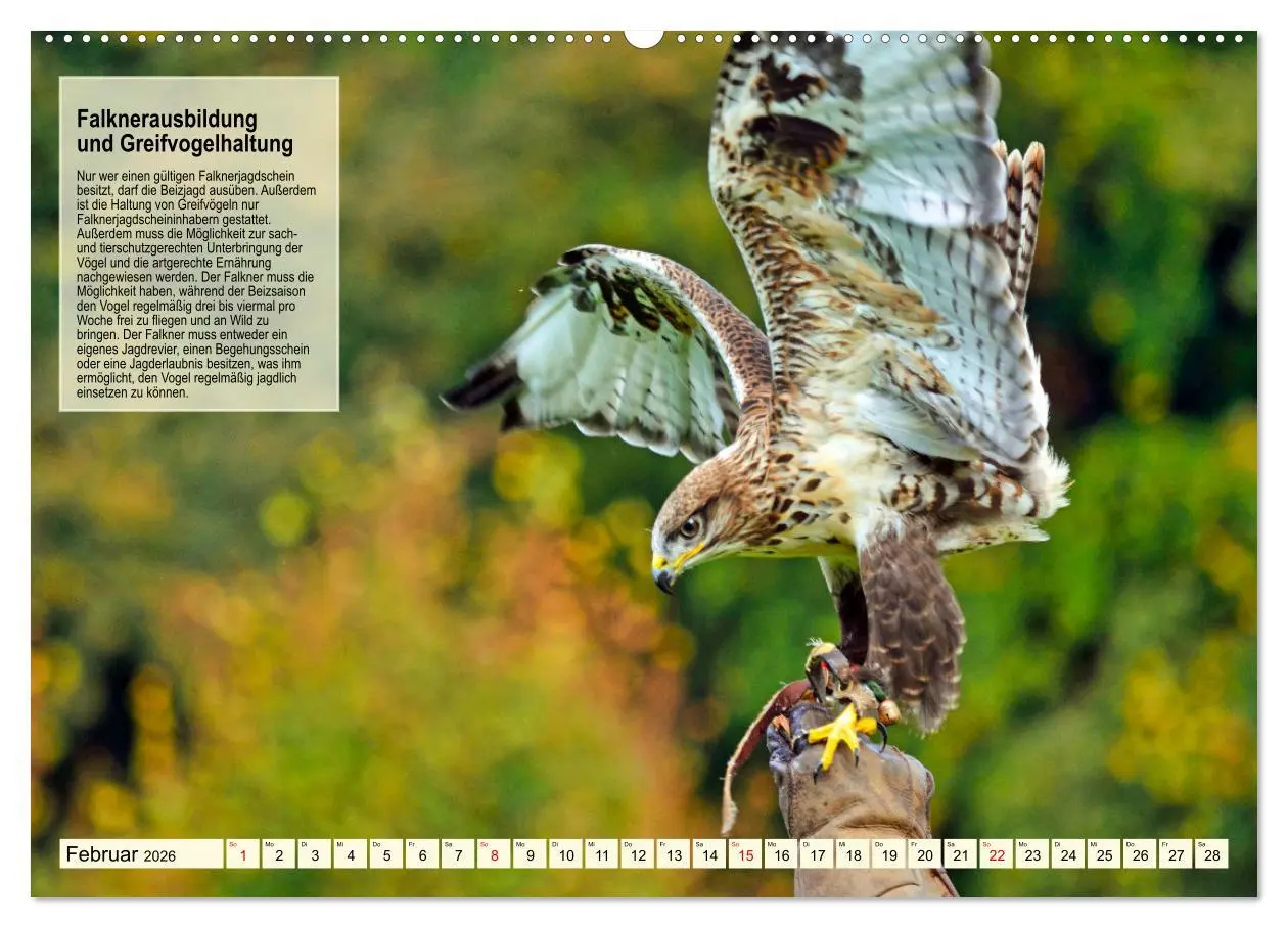 Bild: 9783457491843 | Kulturerbe Falknerei (hochwertiger Premium Wandkalender 2026 DIN A2...