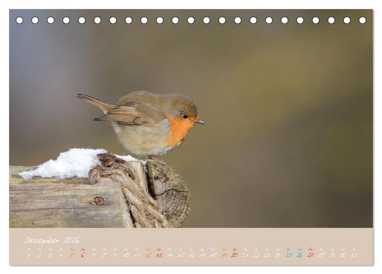 Bild: 9783457701843 | Das Rotkehlchen singt uns ein Lied (Tischkalender 2026 DIN A5...