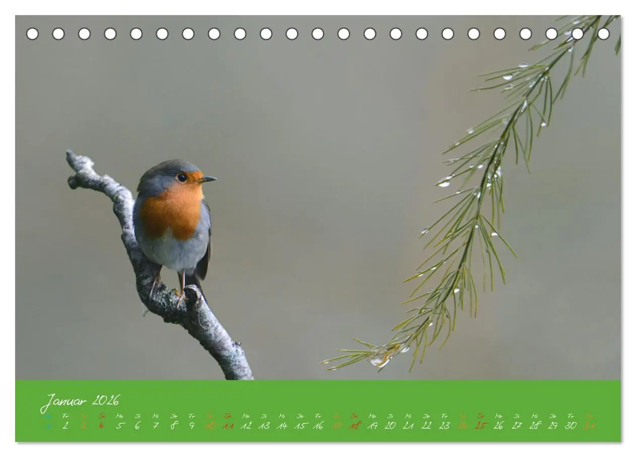 Bild: 9783457701843 | Das Rotkehlchen singt uns ein Lied (Tischkalender 2026 DIN A5...