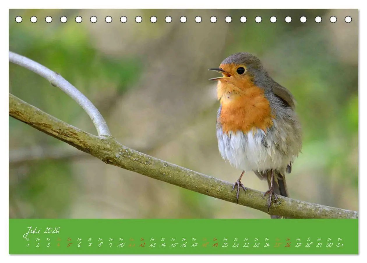 Bild: 9783457701843 | Das Rotkehlchen singt uns ein Lied (Tischkalender 2026 DIN A5...